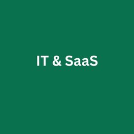 IT and SaaS companies using TurboSales for B2B leads